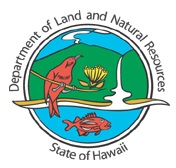 Hawaii Thrill Craft Course